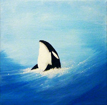 Orca Whale